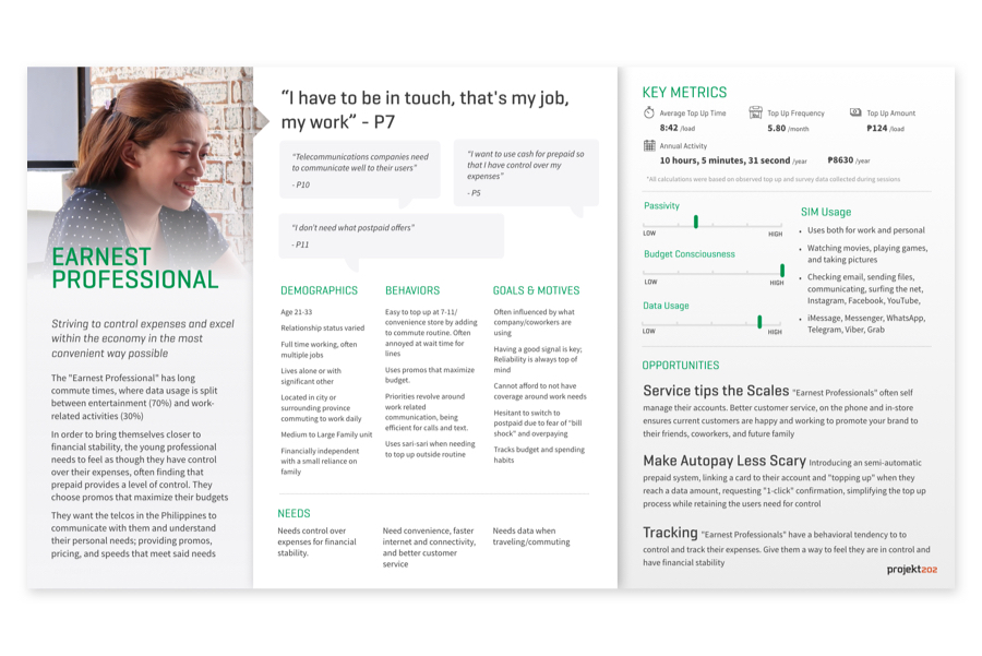 Customer Persona - Earnest Professional